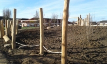 Balancierelement aus europäischer Robinie Natur-Generationen-Spielplatz Witternförden