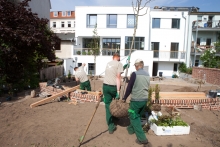 Gartenarbeiten in Schwerin - Schelfstadt