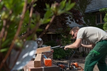 Gartenarbeiten in Schwerin - Schelfstadt