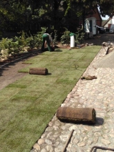 Verlegung Rollrasen gartenbau breuer Schwerin